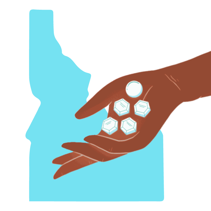 Abortion pill Idaho