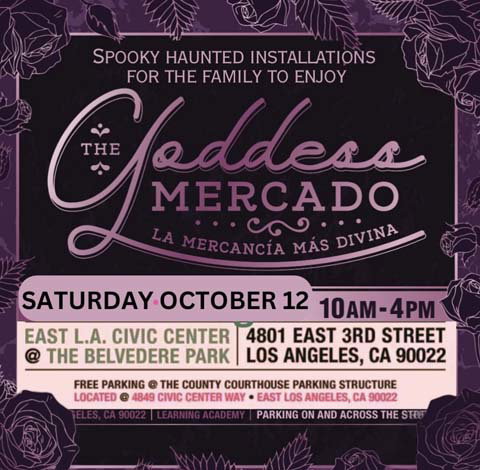 The Goddess Mercado: Spooky Fun House Installations
